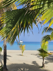 No Problem, Mon! A Couples Resorts Adventure 4 CouplesSweptAway2